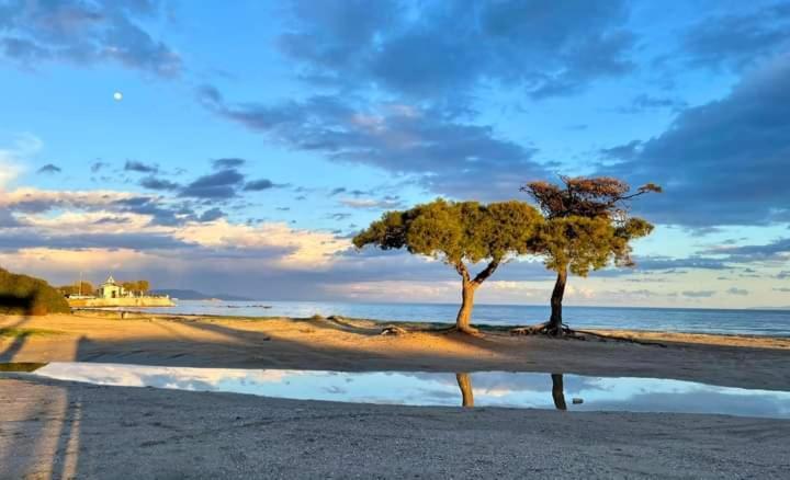 Άνετο Διαμέρισμα Artemida  Buitenkant foto